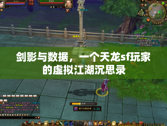 剑影与数据，一个天龙sf玩家的虚拟江湖沉思录
