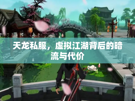 天龙私服，虚拟江湖背后的暗流与代价