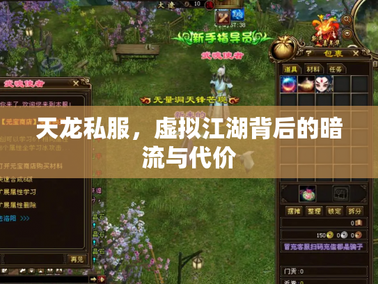 天龙私服，虚拟江湖背后的暗流与代价