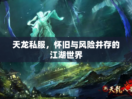 天龙私服，怀旧与风险并存的江湖世界