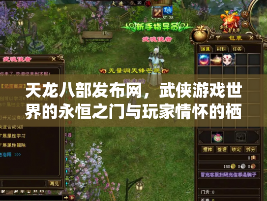天龙八部发布网，武侠游戏世界的永恒之门与玩家情怀的栖息地