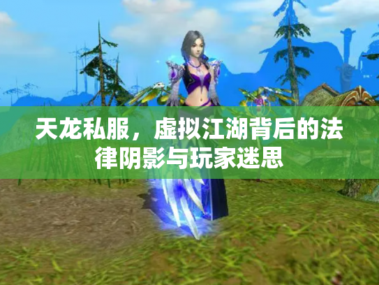 天龙私服，虚拟江湖背后的法律阴影与玩家迷思