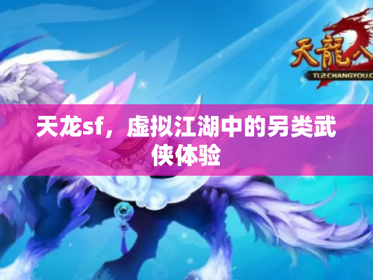 天龙sf，虚拟江湖中的另类武侠体验