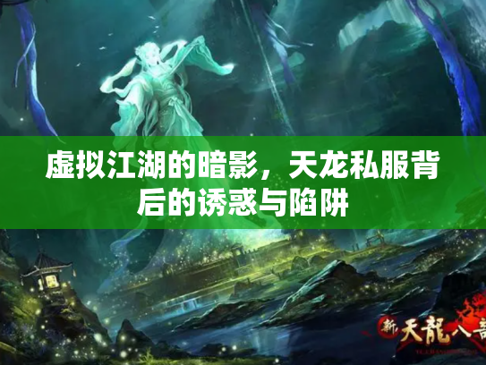 虚拟江湖的暗影，天龙私服背后的诱惑与陷阱
