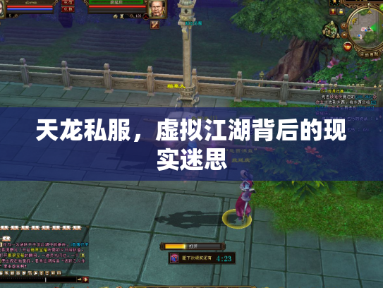 天龙私服，虚拟江湖背后的现实迷思