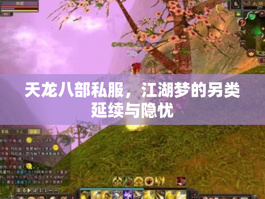 天龙八部私服，江湖梦的另类延续与隐忧