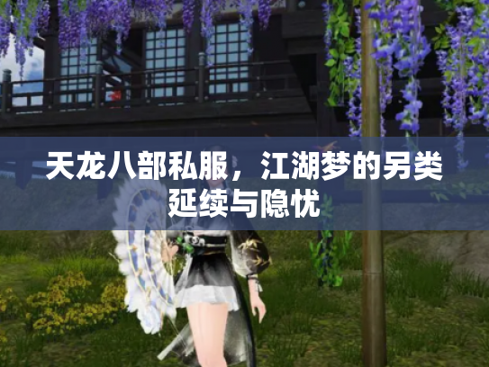 天龙八部私服，江湖梦的另类延续与隐忧