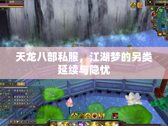 天龙八部私服，江湖梦的另类延续与隐忧