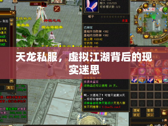 天龙私服，虚拟江湖背后的现实迷思