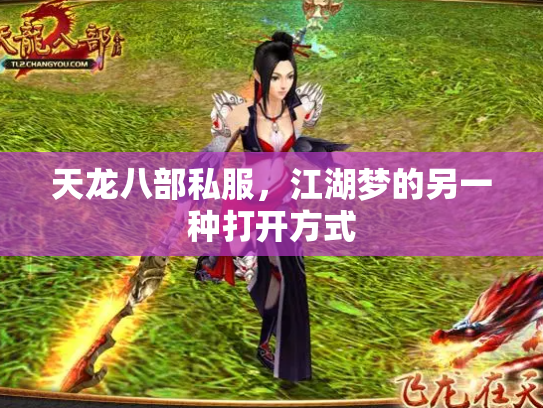 天龙八部私服，江湖梦的另一种打开方式