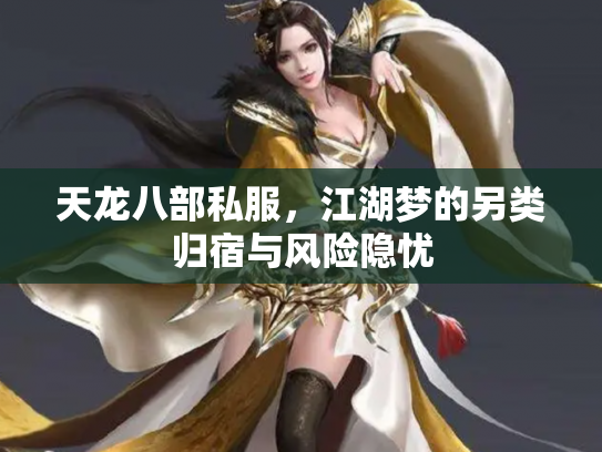 天龙八部私服，江湖梦的另类归宿与风险隐忧