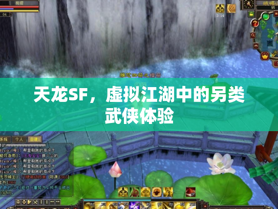 天龙SF，虚拟江湖中的另类武侠体验