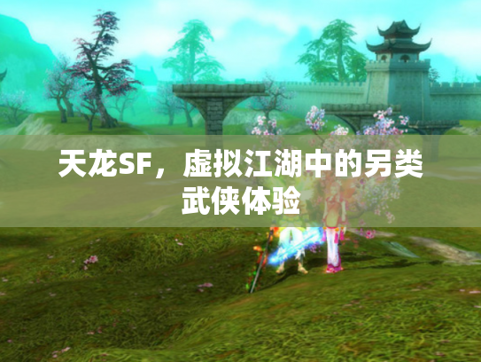 天龙SF，虚拟江湖中的另类武侠体验