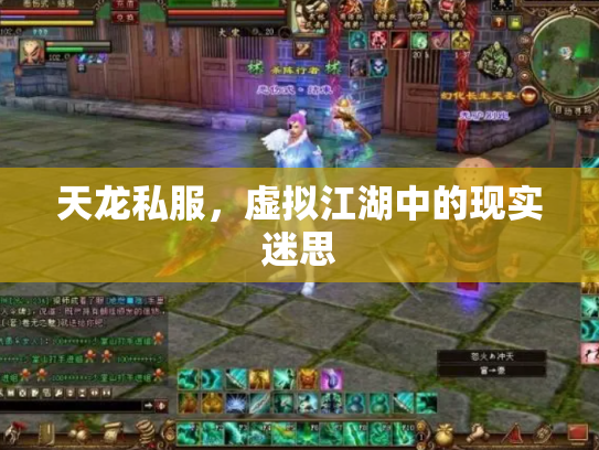 天龙私服，虚拟江湖中的现实迷思