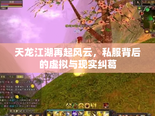 天龙江湖再起风云，私服背后的虚拟与现实纠葛