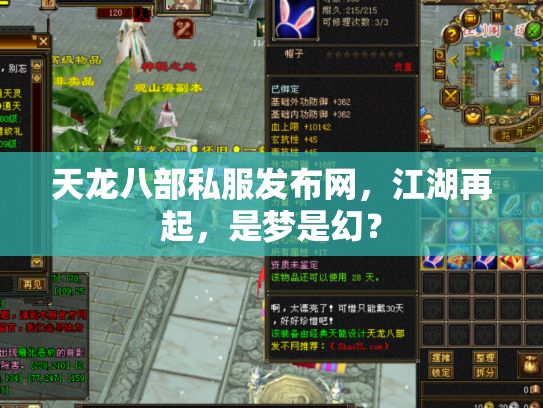 天龙八部私服发布网，江湖再起，是梦是幻？