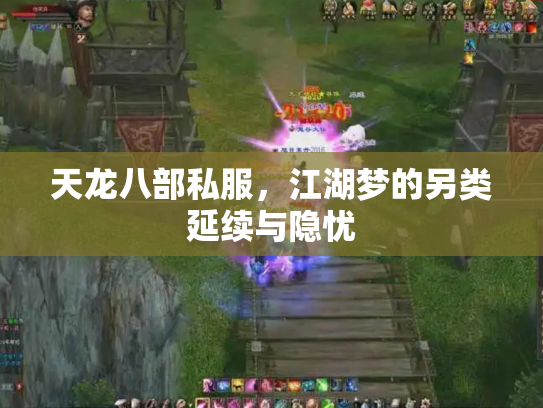 天龙八部私服，江湖梦的另类延续与隐忧