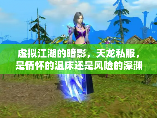 虚拟江湖的暗影，天龙私服，是情怀的温床还是风险的深渊？