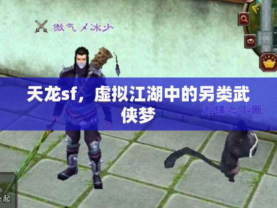 天龙sf，虚拟江湖中的另类武侠梦
