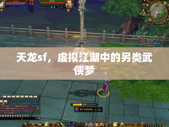 天龙sf，虚拟江湖中的另类武侠梦