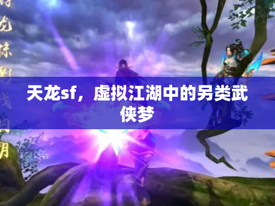 天龙sf，虚拟江湖中的另类武侠梦