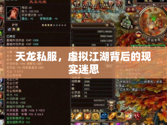 天龙私服，虚拟江湖背后的现实迷思