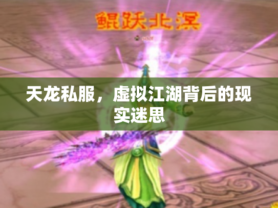 天龙私服，虚拟江湖背后的现实迷思
