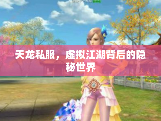 天龙私服，虚拟江湖背后的隐秘世界