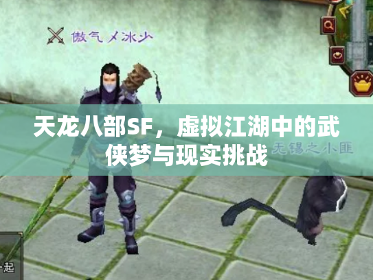 天龙八部SF，虚拟江湖中的武侠梦与现实挑战