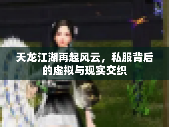 天龙江湖再起风云，私服背后的虚拟与现实交织