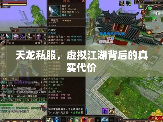 天龙私服，虚拟江湖背后的真实代价