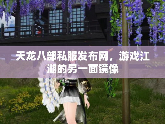 天龙八部私服发布网，游戏江湖的另一面镜像