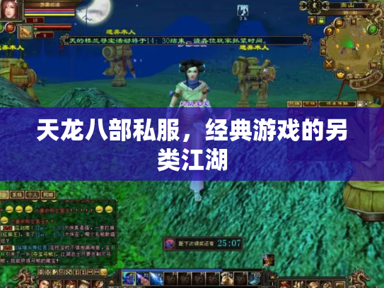 天龙八部私服，经典游戏的另类江湖