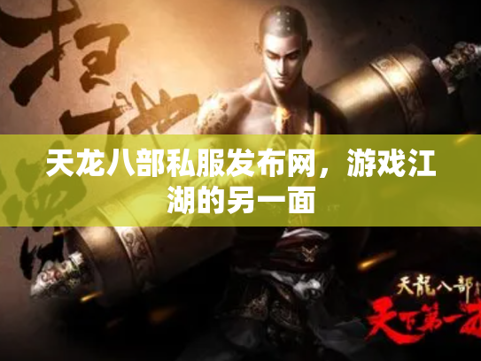 天龙八部私服发布网，游戏江湖的另一面