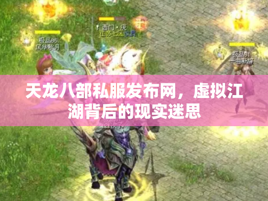天龙八部私服发布网，虚拟江湖背后的现实迷思