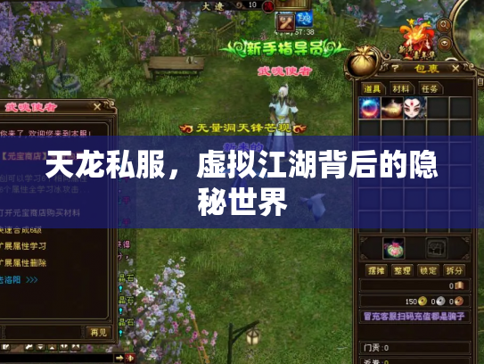 天龙私服，虚拟江湖背后的隐秘世界