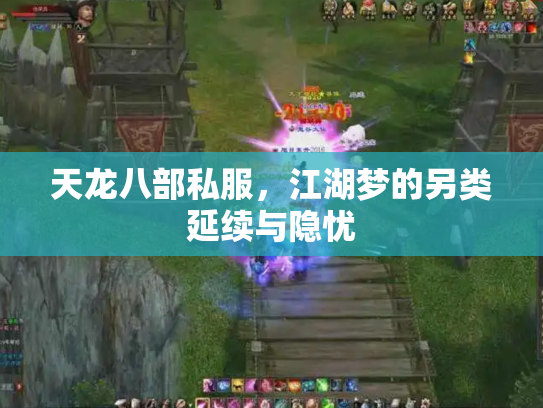 天龙八部私服，江湖梦的另类延续与隐忧