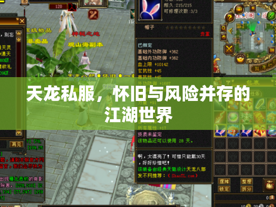 天龙私服，怀旧与风险并存的江湖世界