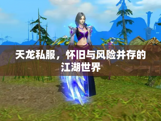 天龙私服，怀旧与风险并存的江湖世界
