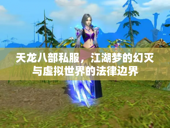 天龙八部私服，江湖梦的幻灭与虚拟世界的法律边界
