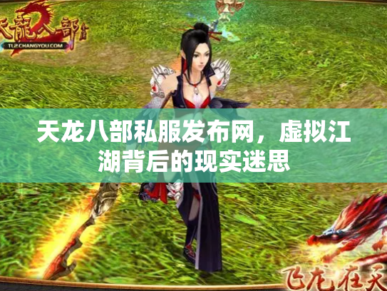 天龙八部私服发布网，虚拟江湖背后的现实迷思