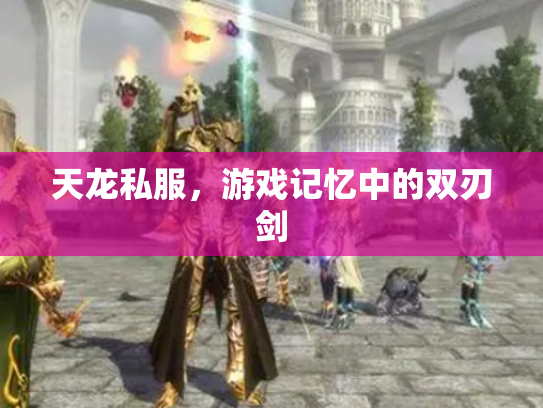 天龙私服，游戏记忆中的双刃剑