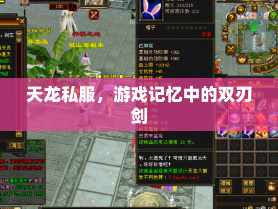 天龙私服，游戏记忆中的双刃剑