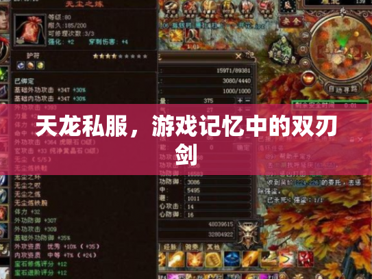 天龙私服，游戏记忆中的双刃剑