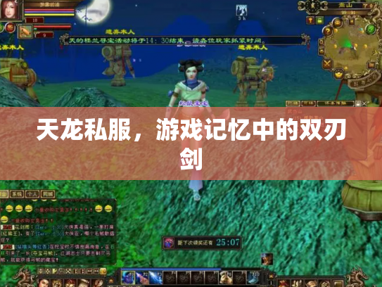天龙私服，游戏记忆中的双刃剑