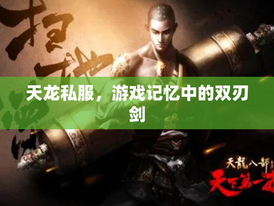 天龙私服，游戏记忆中的双刃剑