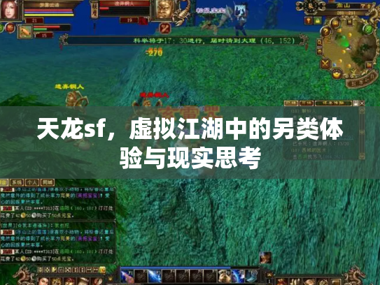 天龙sf，虚拟江湖中的另类体验与现实思考