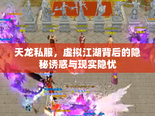 天龙私服，虚拟江湖背后的隐秘诱惑与现实隐忧