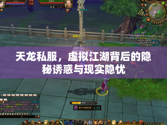 天龙私服，虚拟江湖背后的隐秘诱惑与现实隐忧