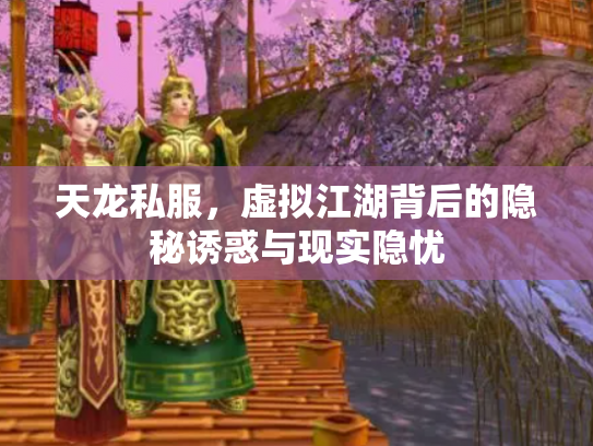 天龙私服，虚拟江湖背后的隐秘诱惑与现实隐忧